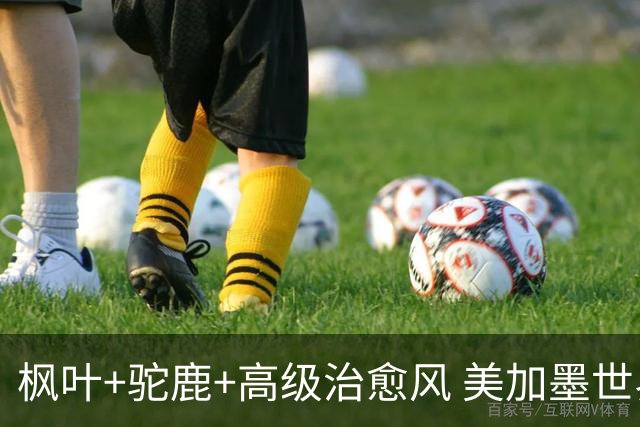 枫叶+驼鹿+高级治愈风 美加墨世界杯加拿大赛区开幕